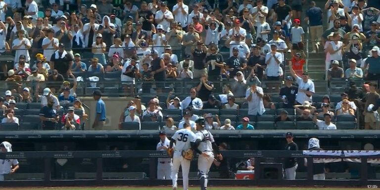 Schmidt gets a standing ovation